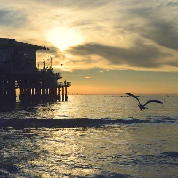 Wooden Building Blocks Set