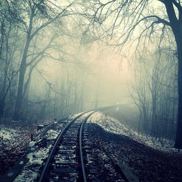 Noise-Cancelling Gaming Headset