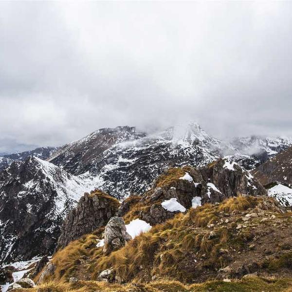 Designer Linen Throw Pillow