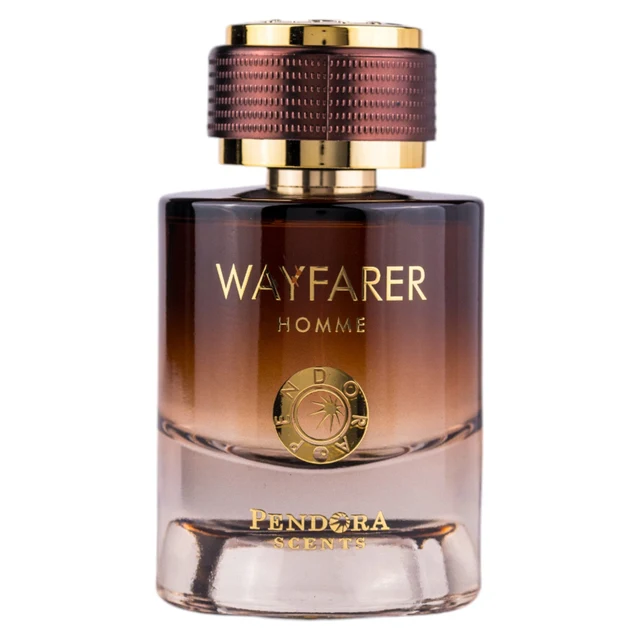 Pendora Wayfarer Homme Eau de Parfum Spray Natural 100 ml