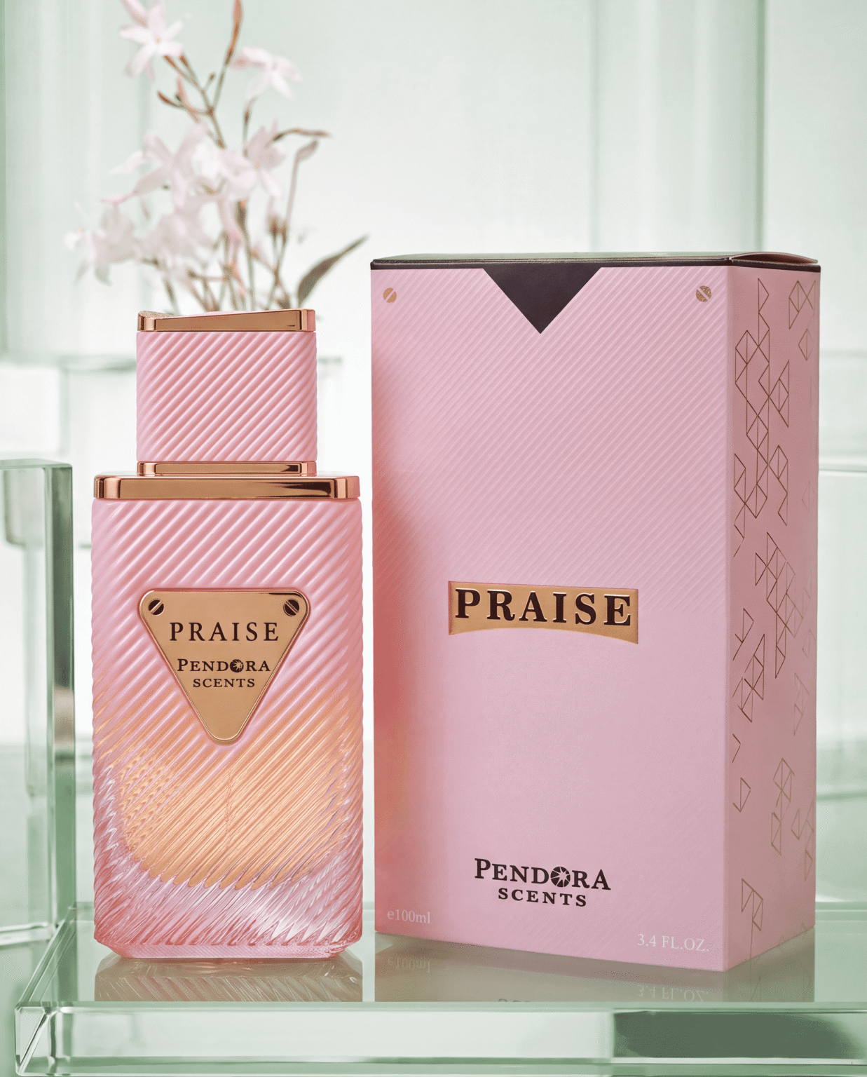 PRAISE 100ML