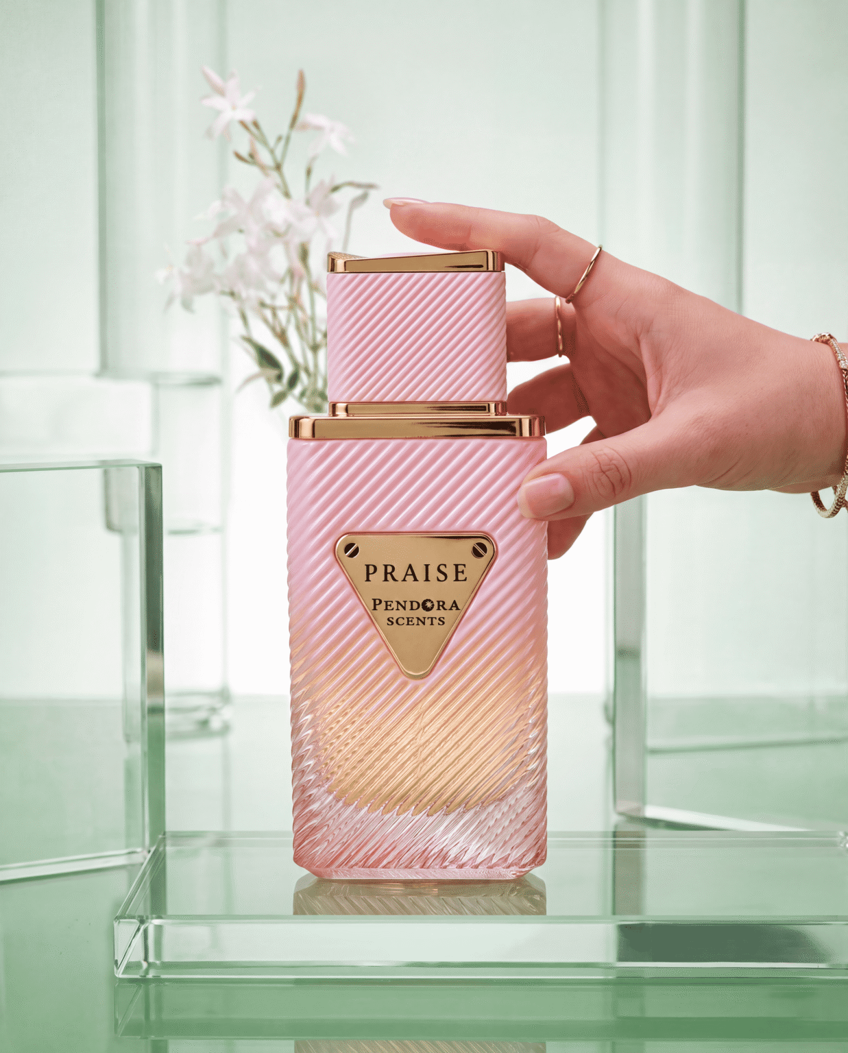 PRAISE 100ML